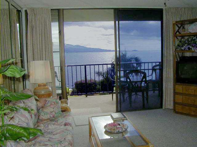 Living Room View from Desk.jpg (47004 bytes)