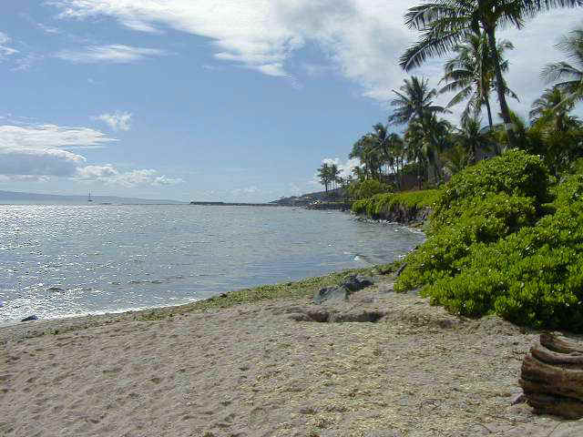 Our Beach.jpg (53810 bytes)