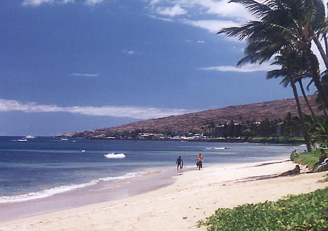 maalaea_beach.jpg (51395 bytes)